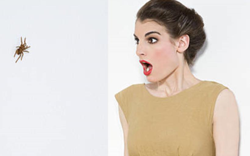 Böcek Korkusu İçin Dua Okunuşu ve Anlamı